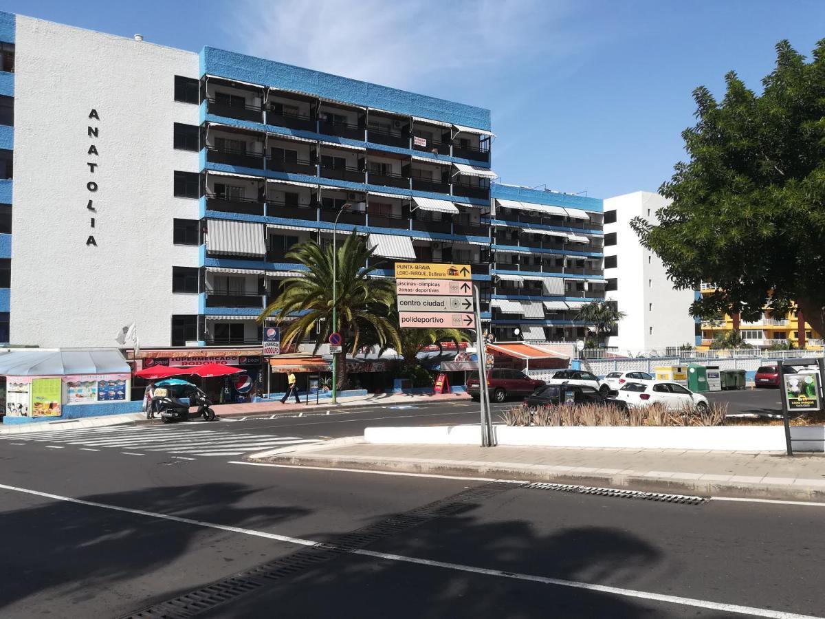 Acogedor Estudio Con Piscina Y Cerca De La Playa Puerto de la Cruz  Esterno foto