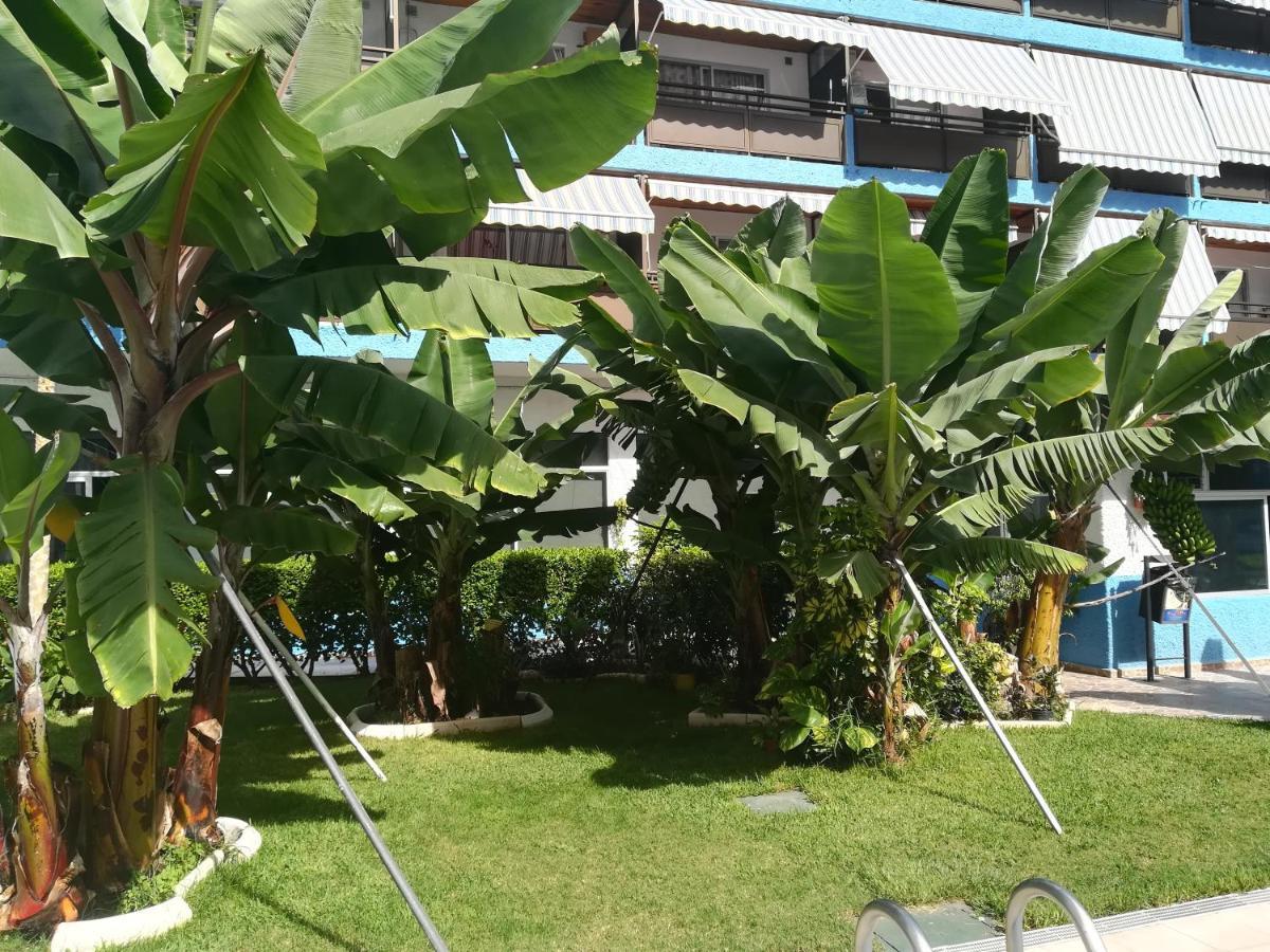 Acogedor Estudio Con Piscina Y Cerca De La Playa Puerto de la Cruz  Esterno foto