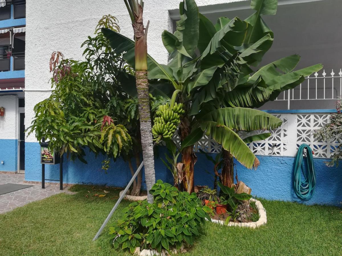 Acogedor Estudio Con Piscina Y Cerca De La Playa Puerto de la Cruz  Esterno foto